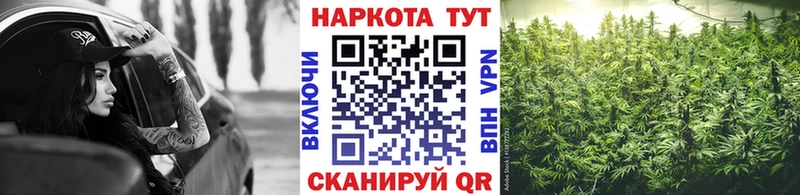 Какие есть наркотики Петушки гидра как зайти Каннабис Меф Гашиш A-PVP