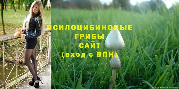 MDMA Алексин