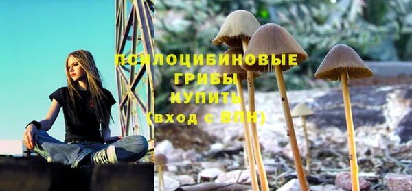 СК Алзамай